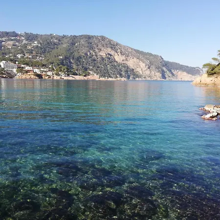 Διαμέρισμα 